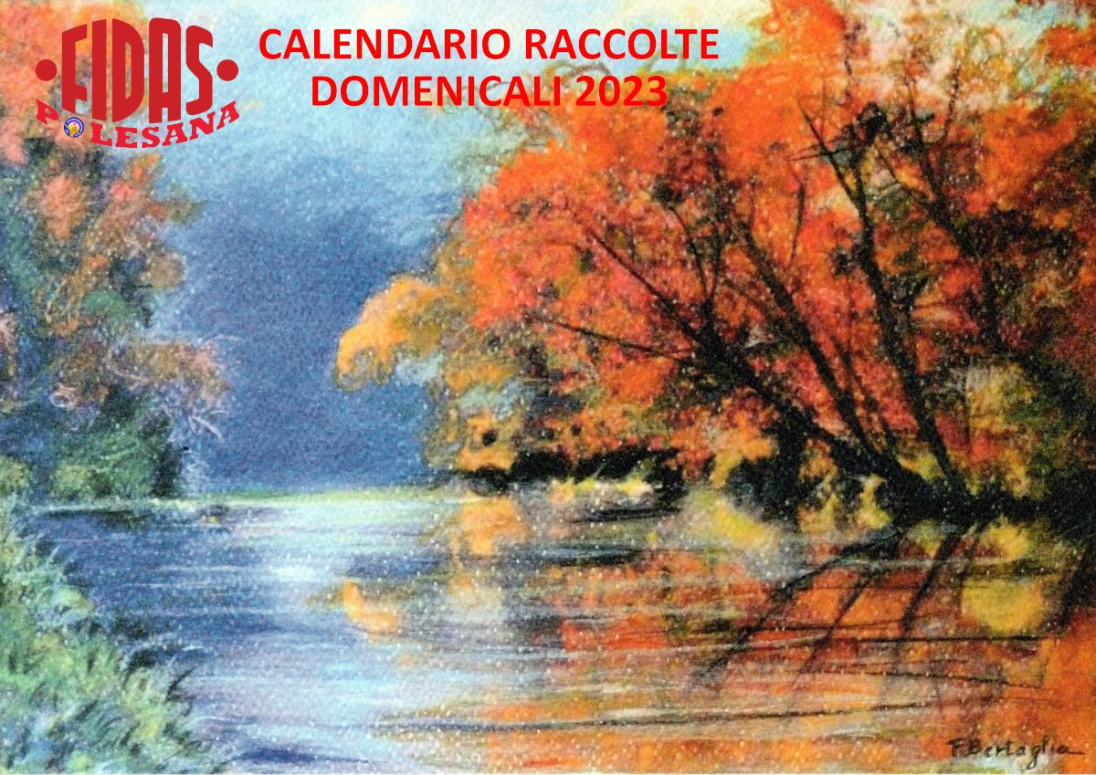 Raccolta domenicale donazioni anno 2023 Raccolta domenicale donazioni anno 2023